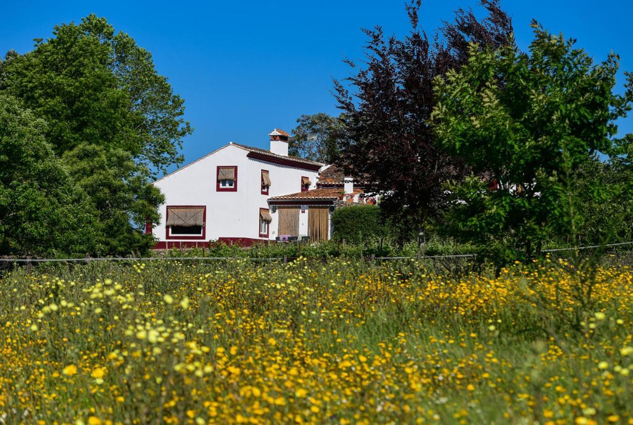 Quinta Da Dourada Hotel Portalegre Kültér fotó